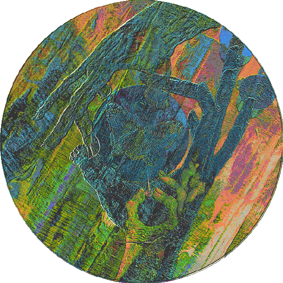 jurij mindMe hands on gif